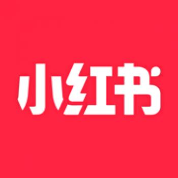 小红书 19980薯币充值1998元（联系客服充值）